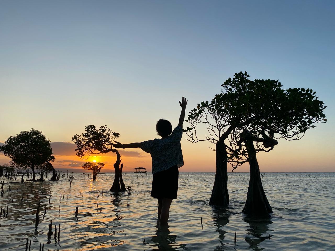 WhatsApp Image 2025-04-14 at 19.08.11_e6e5a70c